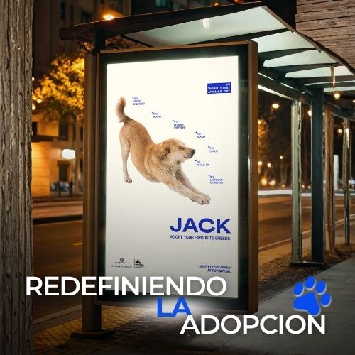 100% Yours: redefiniendo la adopción a través del diseño