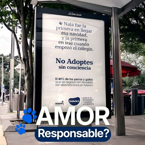 No Adoptes Sin Conciencia: adopción responsable