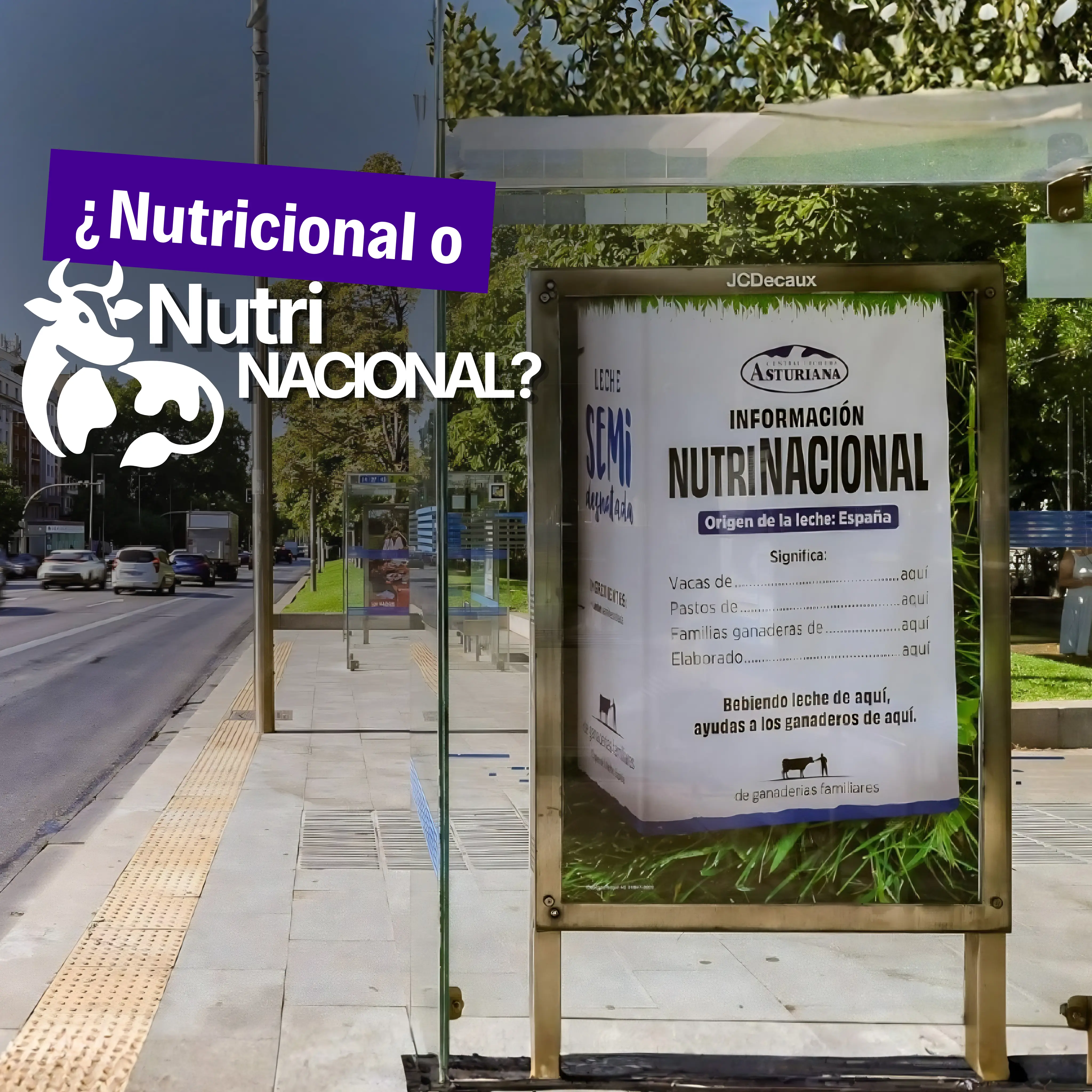 Central Lechera Asturiana Convierte Nutricional En Nutrinacional
