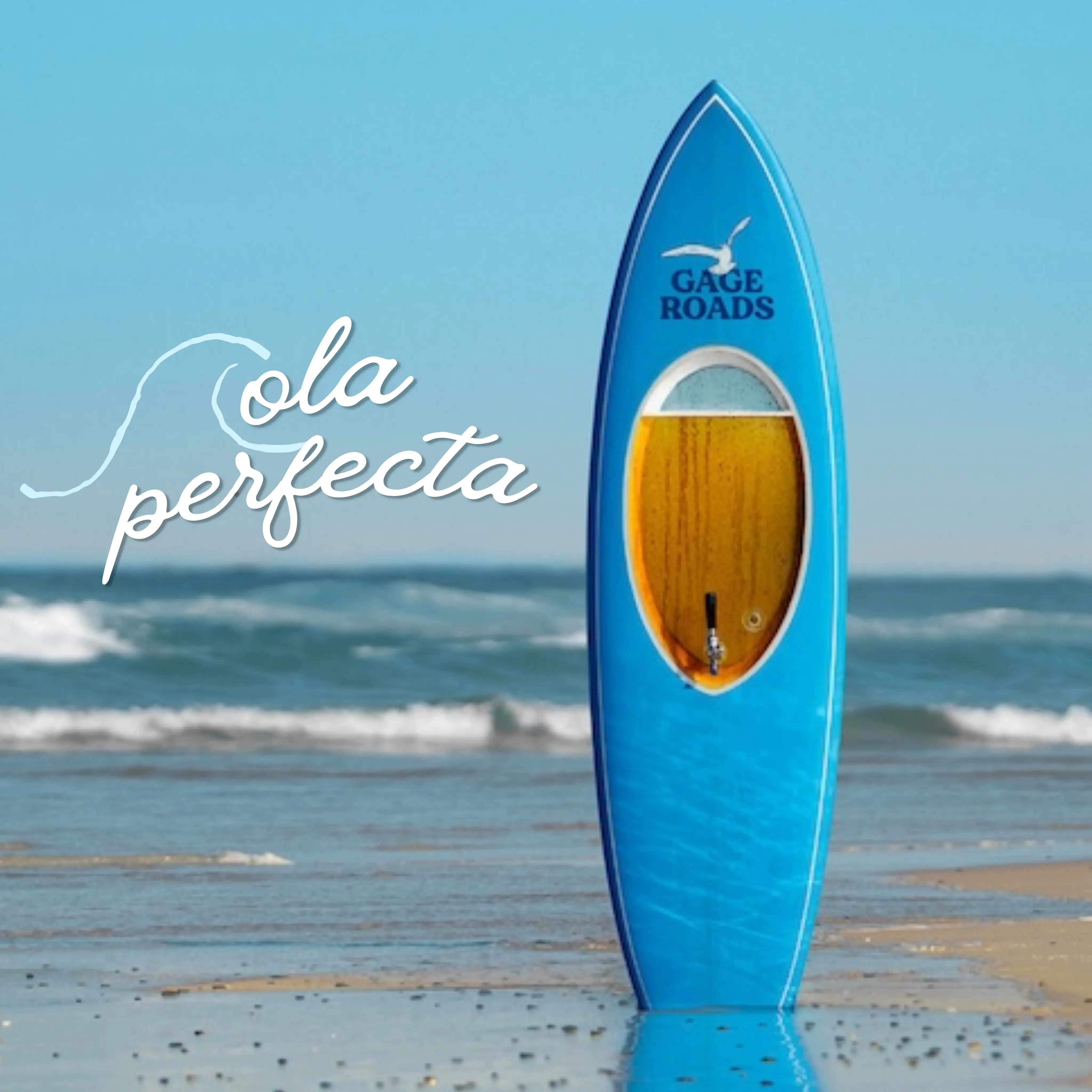 Beerboard: la tabla de surf que contiene 10 litros de cerveza