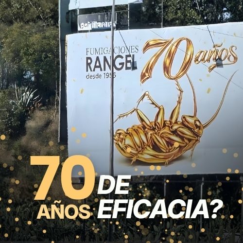 Fumigaciones Rangel: 70 años en OOH
