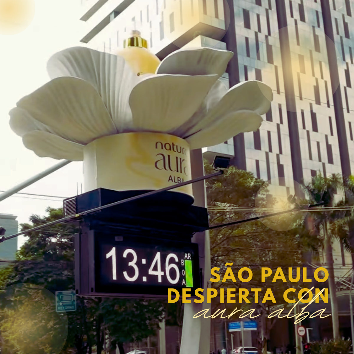 Natura Transforma Sao Paulo con Aura Alba
