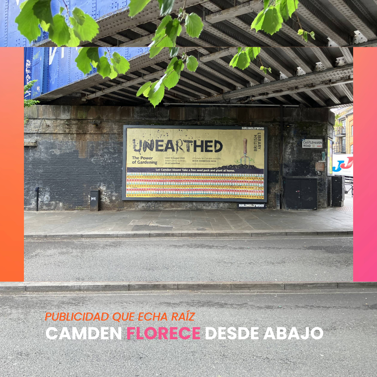 Semillas, Comunidad y Publicidad: así Florece Camden