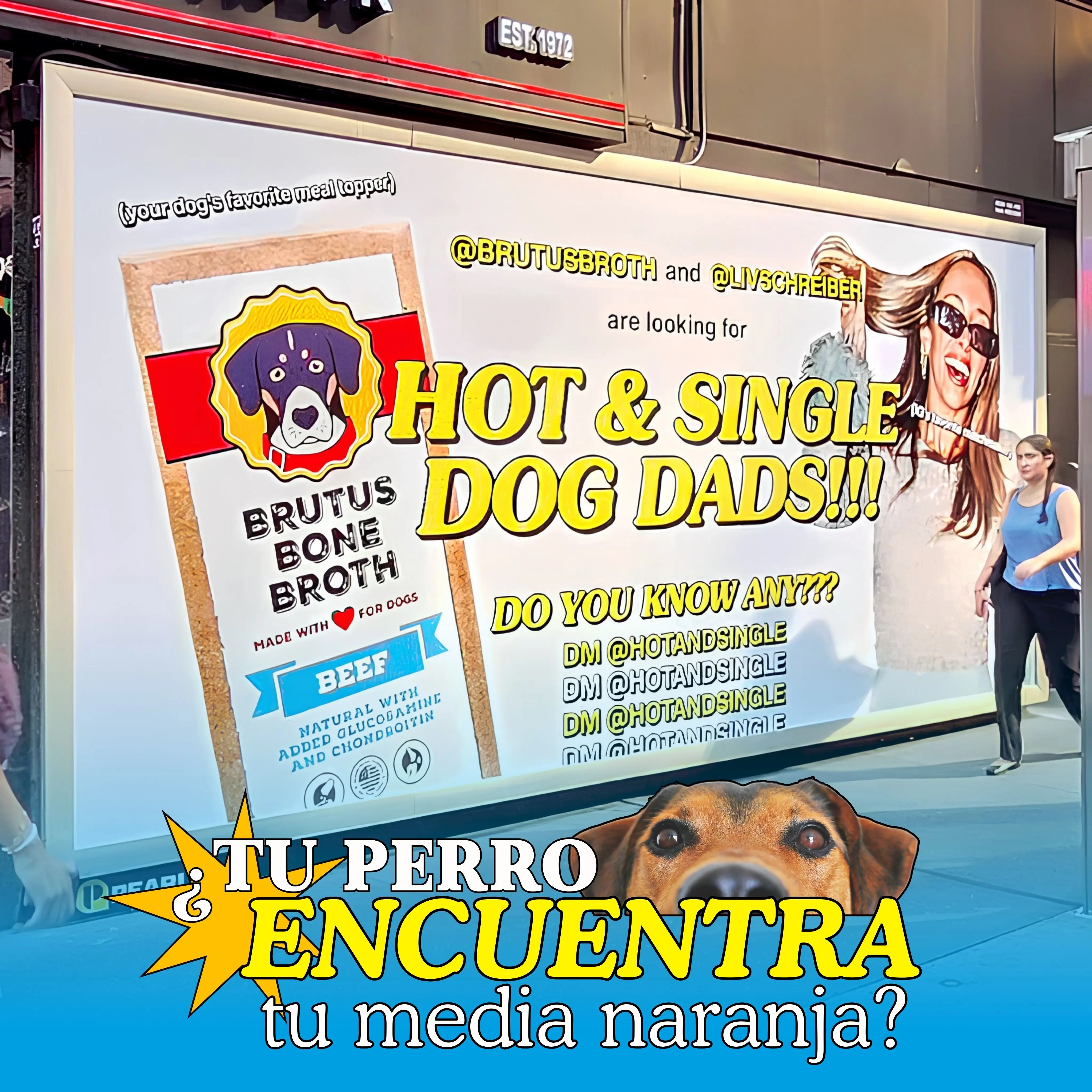 Brutus Broth convierte a los perros en el mejor wingman de los dog dads