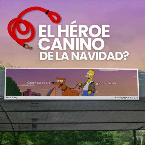 Los Simpson impulsan la mayor campaña de adopción de galgos en Nueva Zelanda