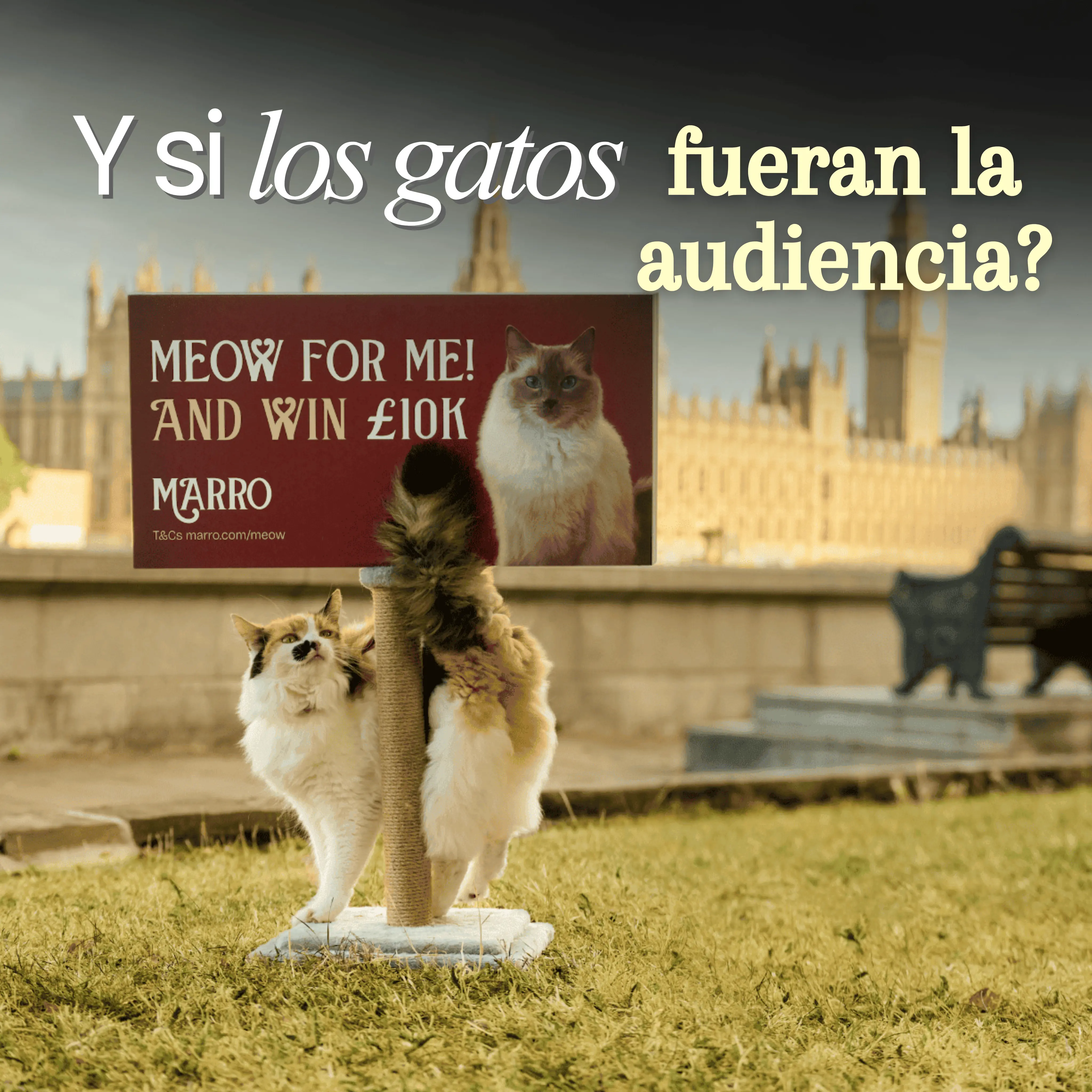 Marro lleva el OOH a los gatos con mini billboards interactivos en Londres