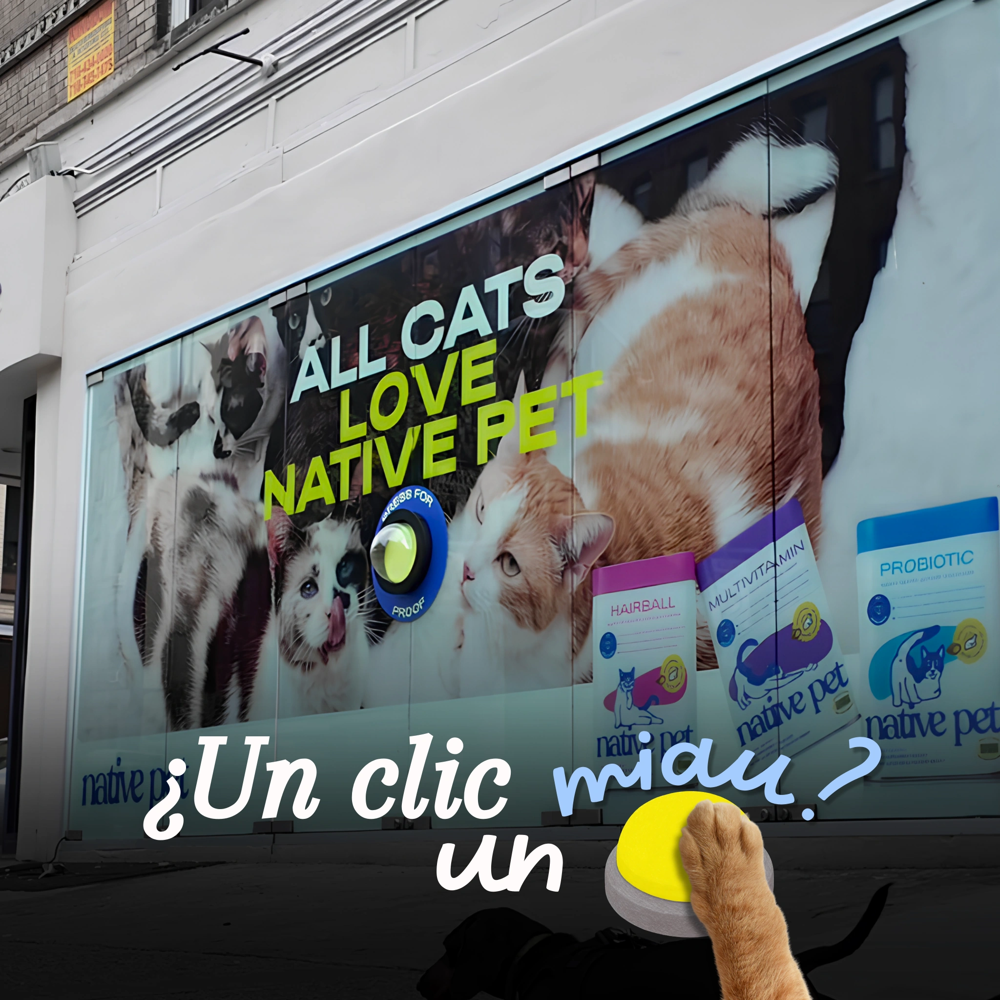 Native Pet apuesta por una activación OOH interactiva para conectar con los amantes de los gatos