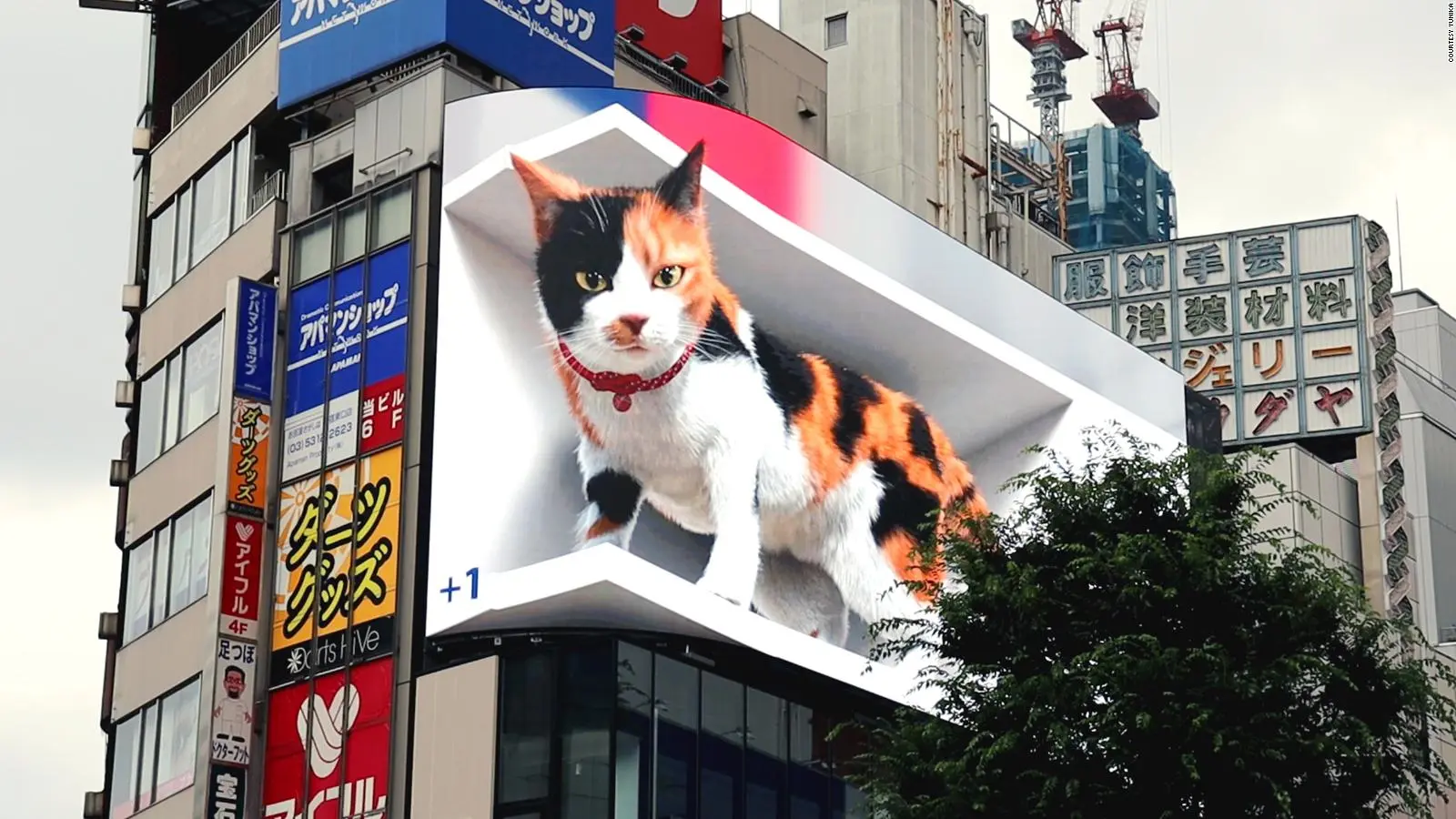 3D Billboard Shinjuku Cat