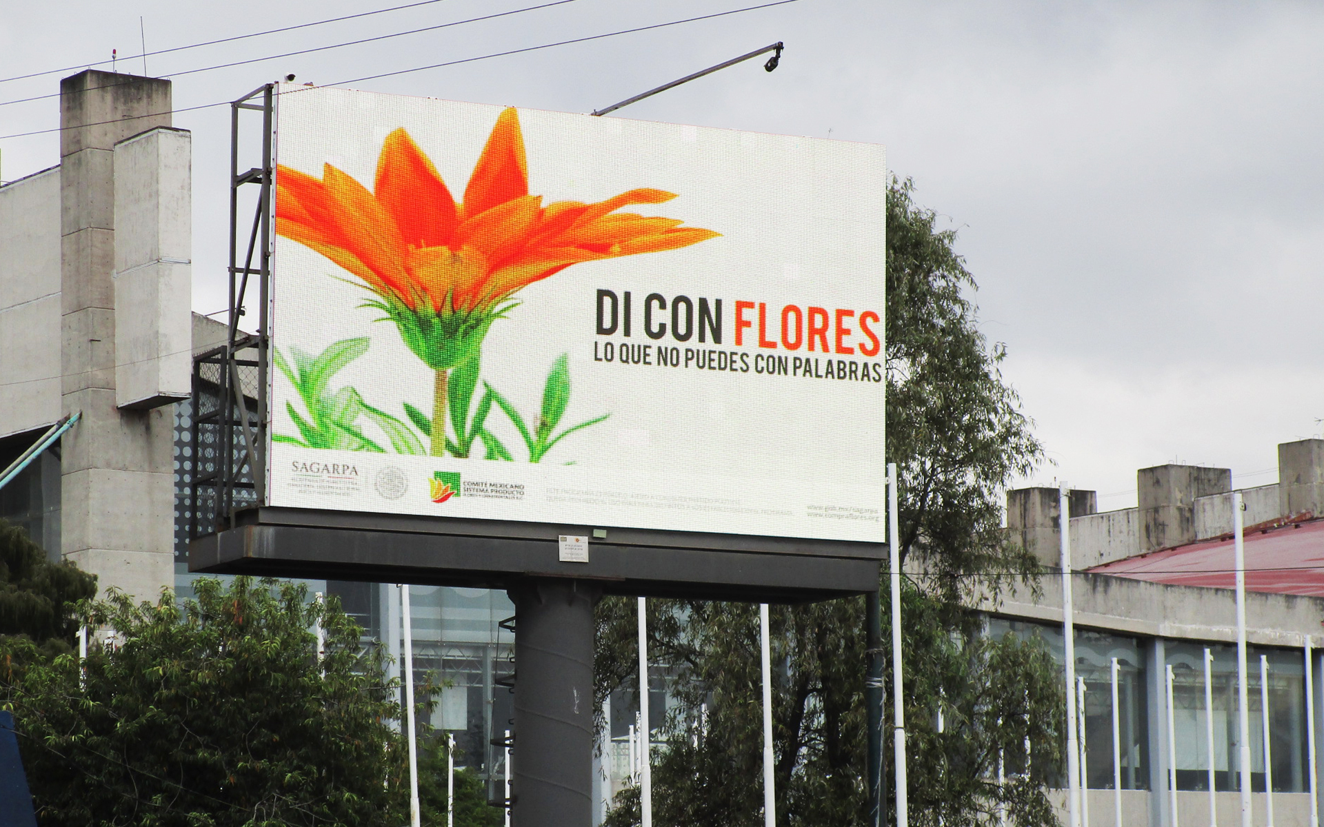 Pantallas Publicitarias (DOOH) en Ciudad de México